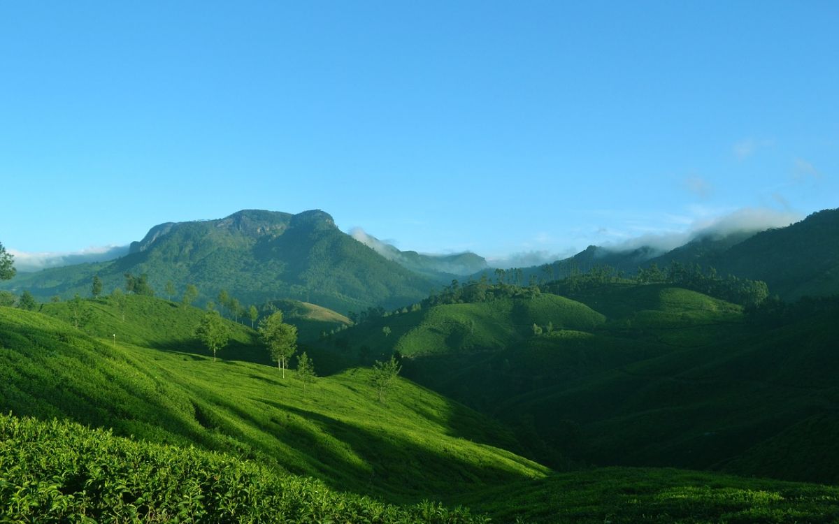 kerala kerala